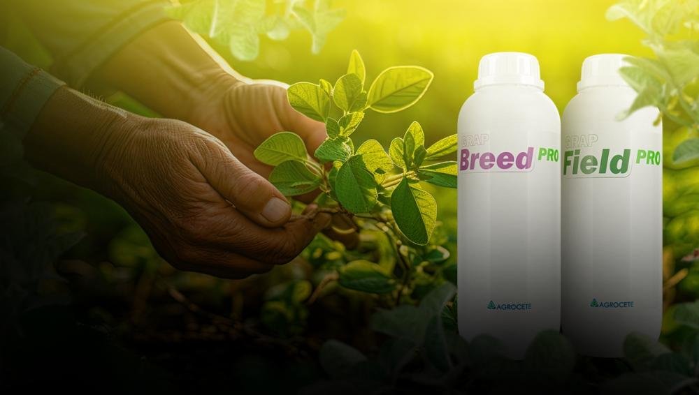 Biofertilizantes geram 6% de incremento em produtividade na cultura da soja, mostra estudo de campo