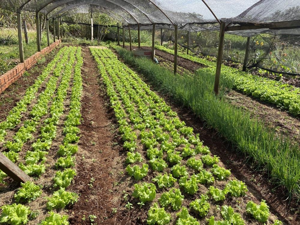 Convênio de Assistência Técnica e Extensão Rural de Itaipu e PTI vai beneficiar 2.500 famílias agricultoras