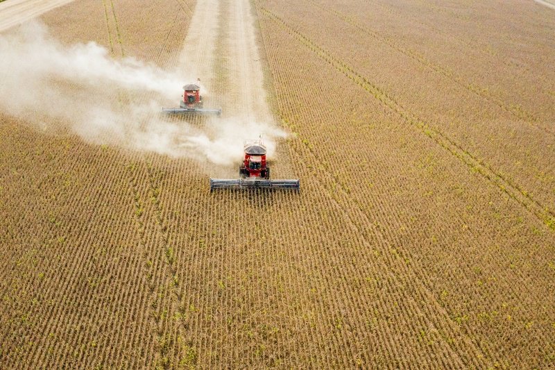 BASF leva ao Show Rural Coopavel 2024 oferta conectada de soluções para agricultura