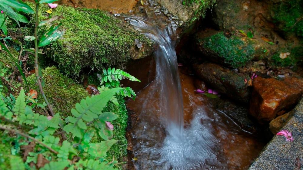 Proprietários de imóvel rural de Castro têm até 26 de fevereiro para se inscrever em projeto de proteção de nascentes