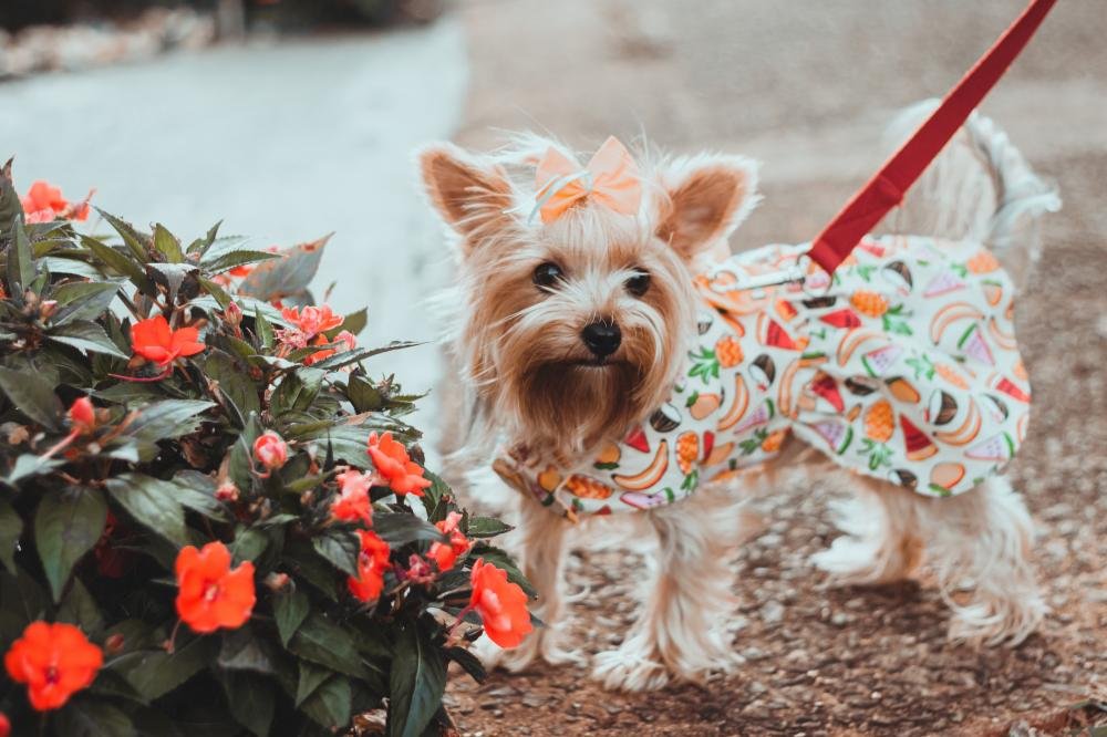 Feira itinerante Londrina Criativa estreia em novo local