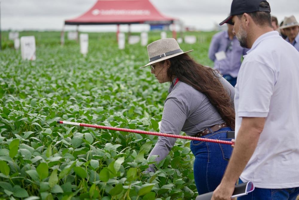 Sumitomo Chemical demonstra soluções no Dia de Campo Verão da Agrária