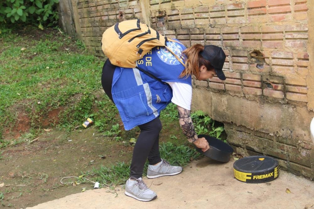 Ponta Grossa segue com ações de combate à dengue