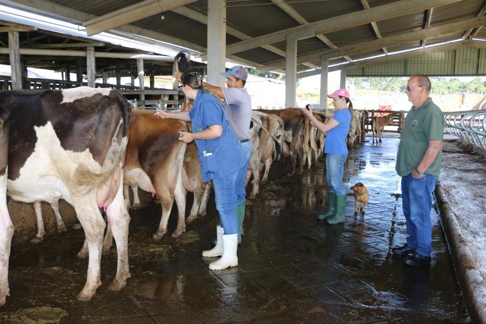 Programa para inseminação de bovinos em pequenas propriedades rurais chega a 4ª etapa em Castro