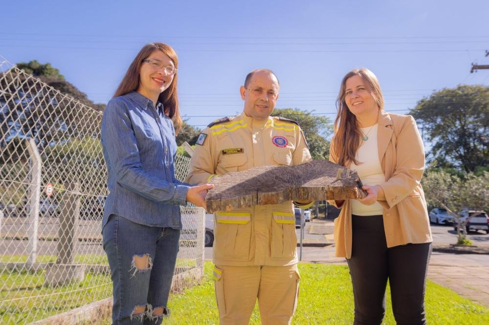 Tronco que mostra rastro de tornado integra pesquisa da UEPG