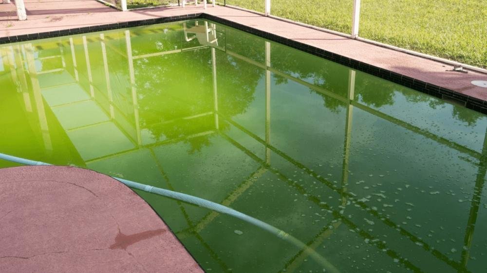 7 Equipamentos que não podem faltar na limpeza de uma piscina