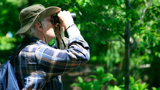 Camping e Birdwatching: uma aventura sonora!