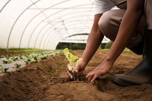 Sistemas de tratamento de água aplicados em estufas agrícolas modernas