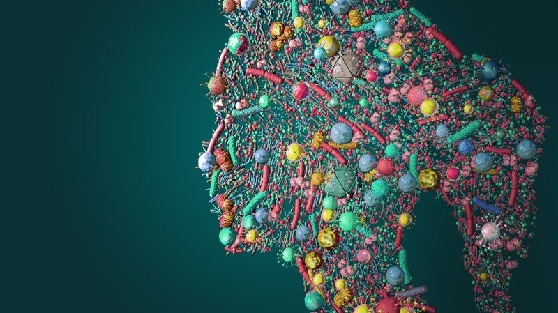 Crédito: Depositphotos/Burgstedt