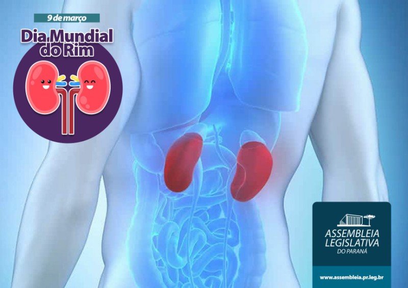 Assembleia Legislativa participa de campanha mundial de prevenção às doenças renais