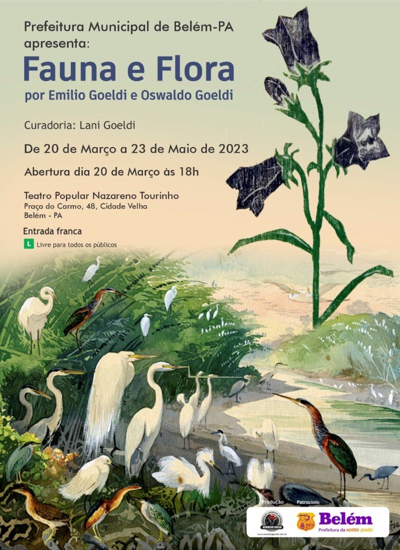 Die Ausstellung Fauna und Flora Brasiliens kehrt ab dem 20. März nach Belém-PA zurück