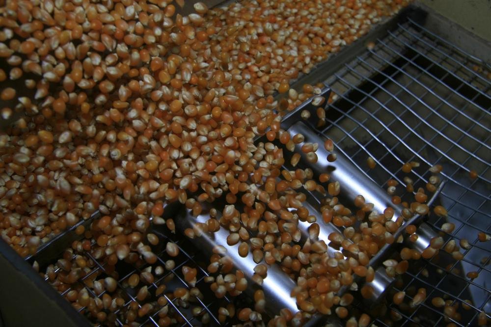 Temporada de Festa Junina movimenta mercado nacional