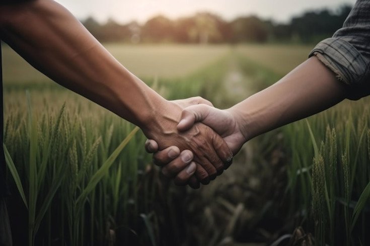 Cooperativas impulsionam desenvolvimento econômico e social no PR, comprova estudo da PUCPR