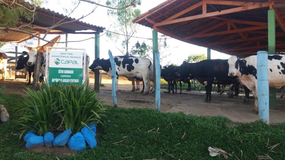 Capal comemora 63 anos e mais que dobra o quadro de cooperados na última década