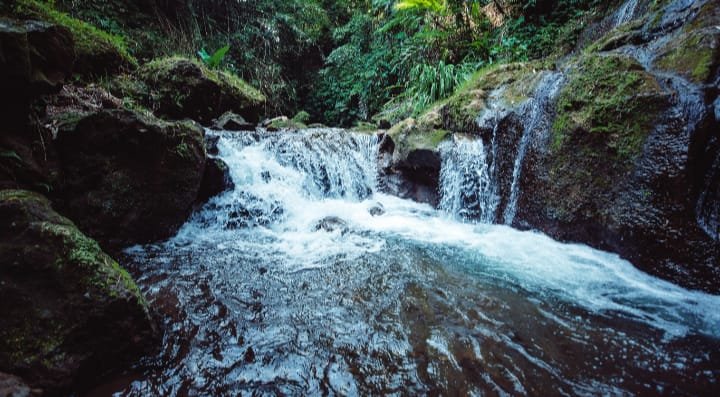 Prefeitura de Ipiranga anuncia prazo para inscrições no programa de recuperação de nascentes