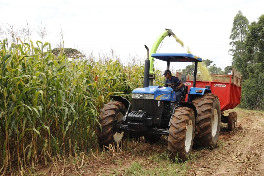 Produtores de Tibagi têm até 29 de setembro para entregar a declaração do ITR 2023