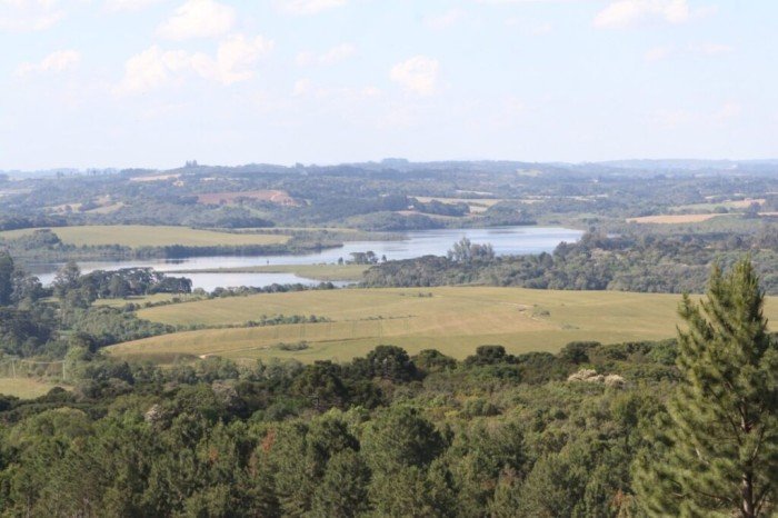 Prazo final da declaração do ITR 2023 termina nesta sexta (29)