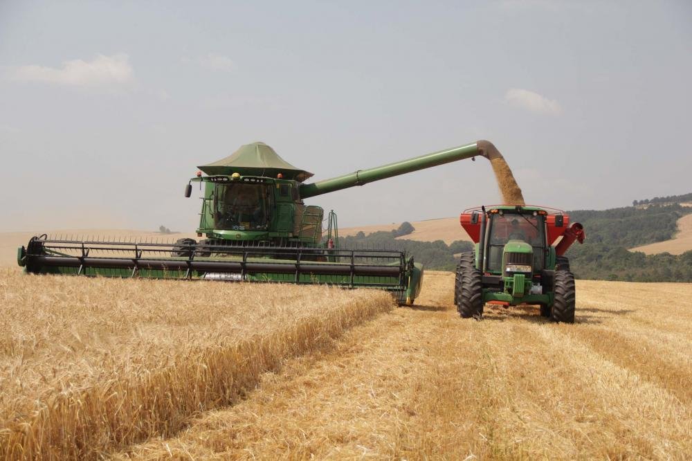 Cevada chega a 80% de área colhida nas unidades da Capal