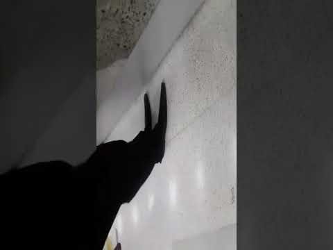 Consumidor mostra carne estragada sendo vendida em supermercado