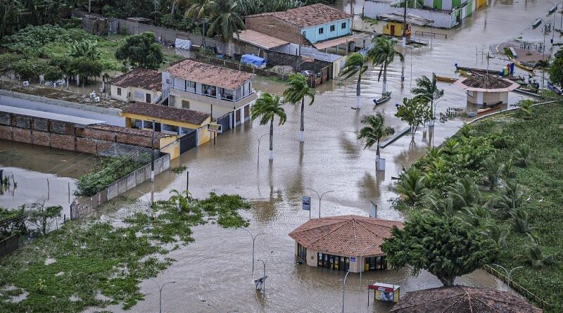 © Portal Oficial do Governo do Estado de Alagoas