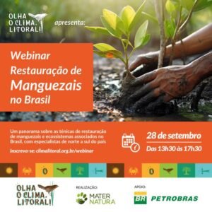 Webinar sobre restauração de manguezais reúne especialistas de todo o país