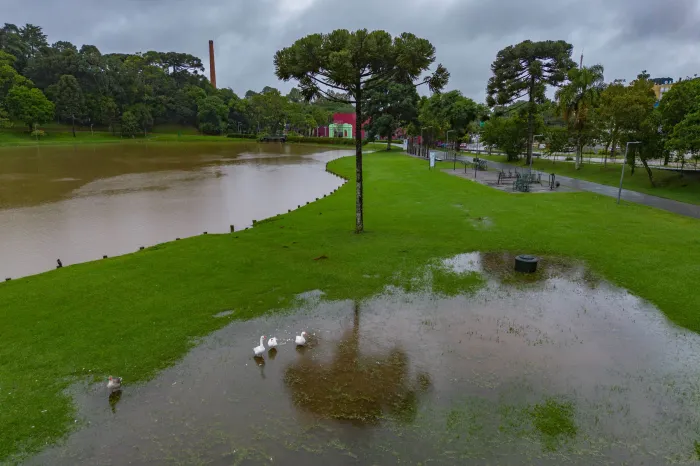 Foto: Daniel Castellano/Arquivo Prefeitura de Curitiba