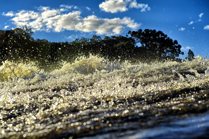 Foto: Denis Ferreira Netto/SEDEST