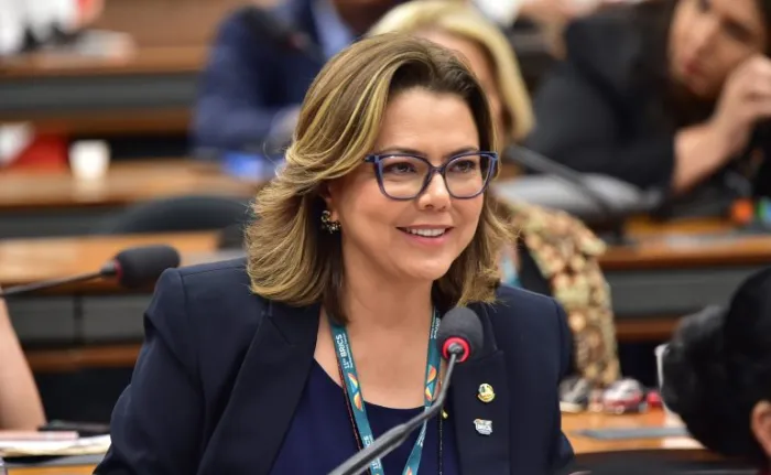 Zeca Ribeiro/Câmara dos Deputados