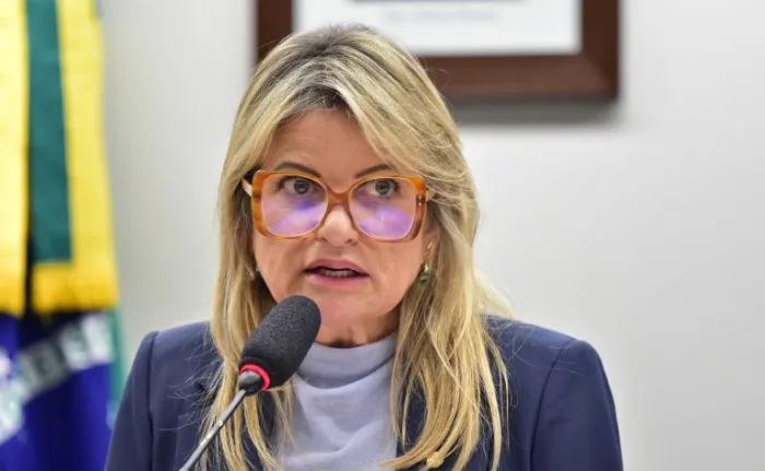 Zeca Ribeiro/Câmara dos Deputados