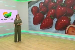 Foto: Tv Paraná Turismo