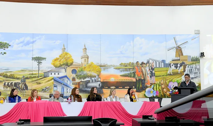 Foto: Reprodução/Câmara Municipal de Castro - PR