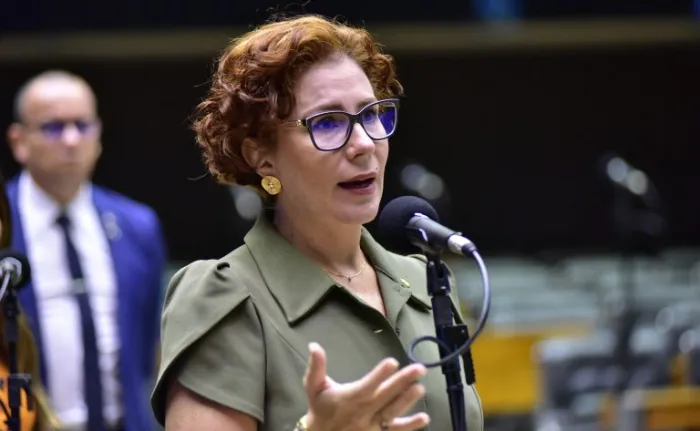Zeca Ribeiro/Câmara dos Deputados