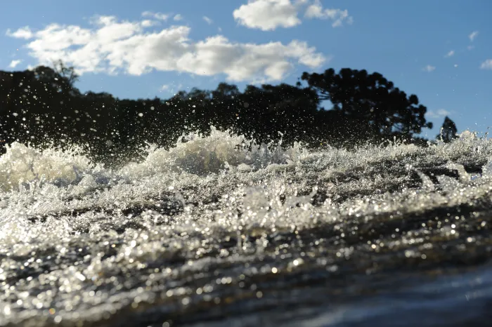 Foto: Denis Ferreira Netto/SEDEST-PR