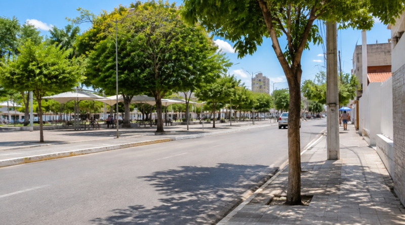 Baixa umidade do ar: alerta atingiu 101 cidades da Paraíba em 19 de outubro