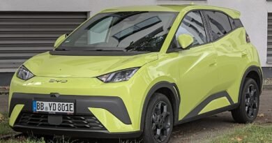 BYD Seagull