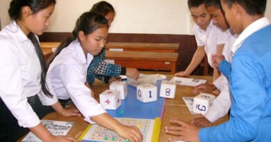 Number literacy, or numeracy, consists of many skills. An essential element is the ability to automatically do simple arithmetic operations, thus free