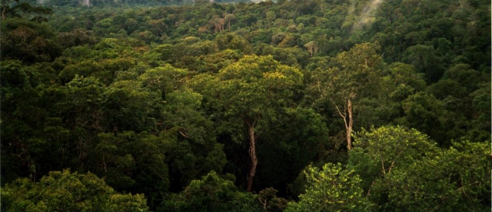 Amazônia