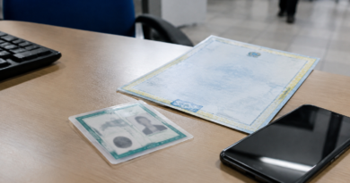Carteira de Identidade Nacional: como emitir, acompanhar o pedido e acessar a versão digital