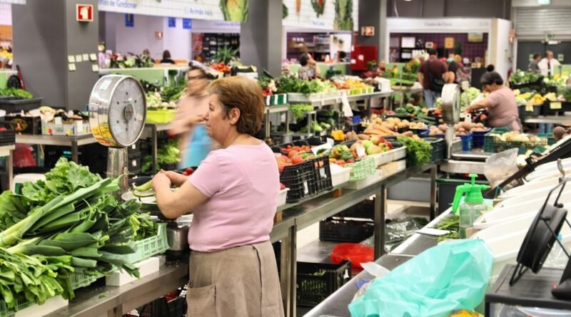 Pequenas e médias empresas: artigo debate custo da burocracia em Portugal