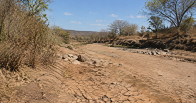 Seca em Minas Gerais: 105 cidades entram em situação de emergência