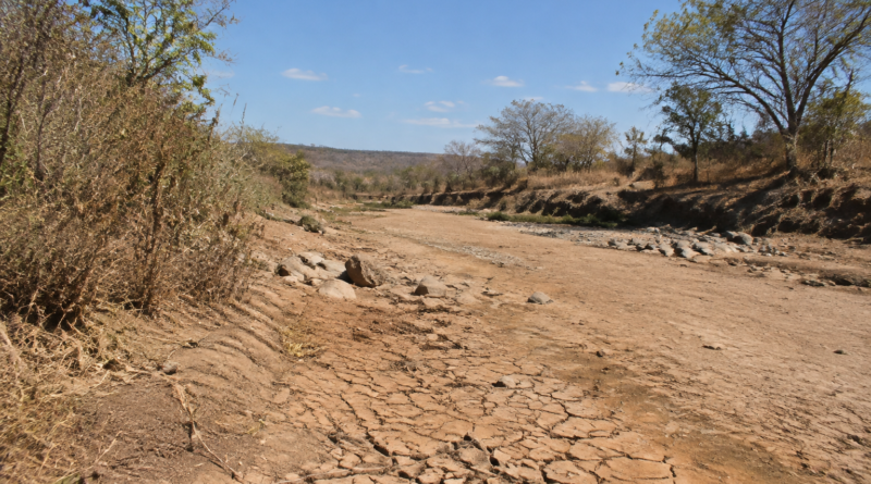 Seca em Minas Gerais: 105 cidades entram em situação de emergência